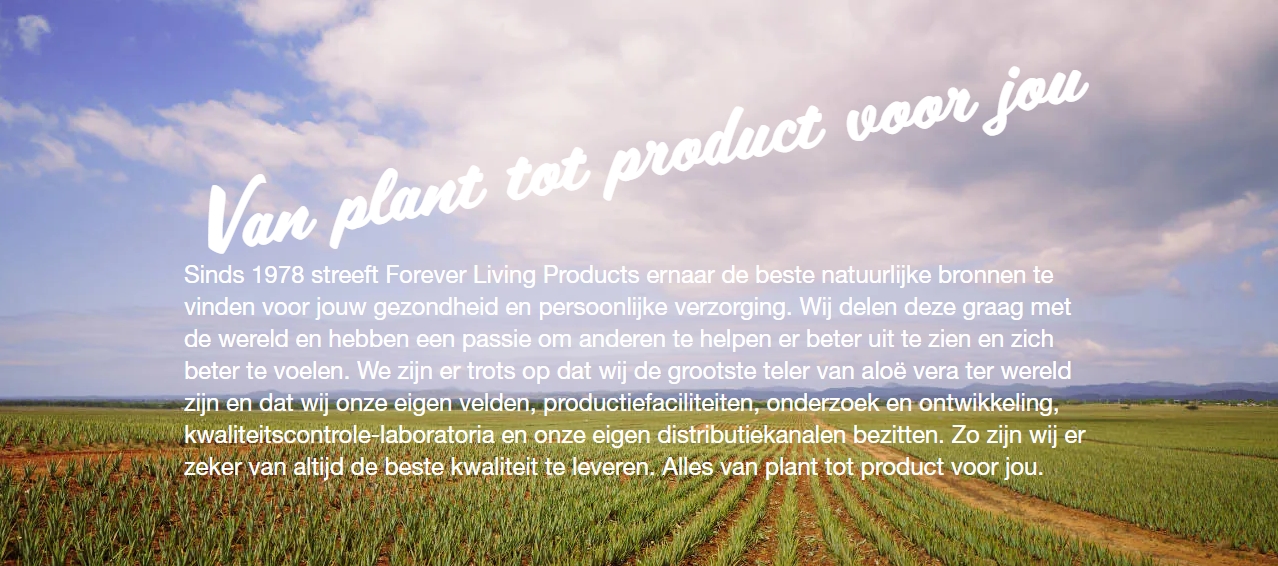 Van plant tot product